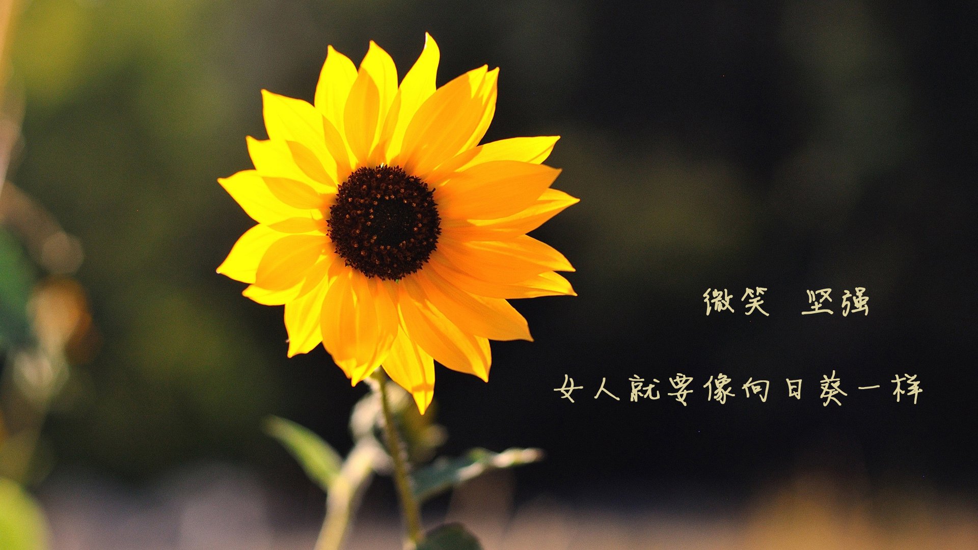 《青少年电竞保护政策：防沉迷与培养双管齐下》，青少年 电竞
