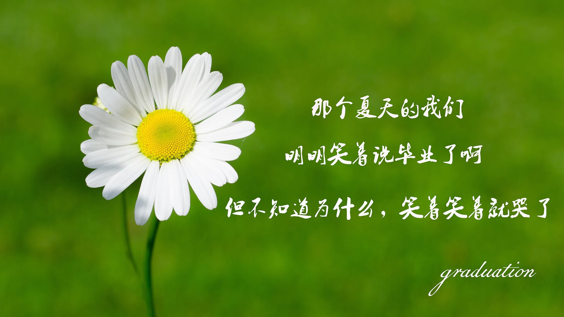 中游争霸：谁能登顶中游格局？，中游争霸_谁能登顶中游格局