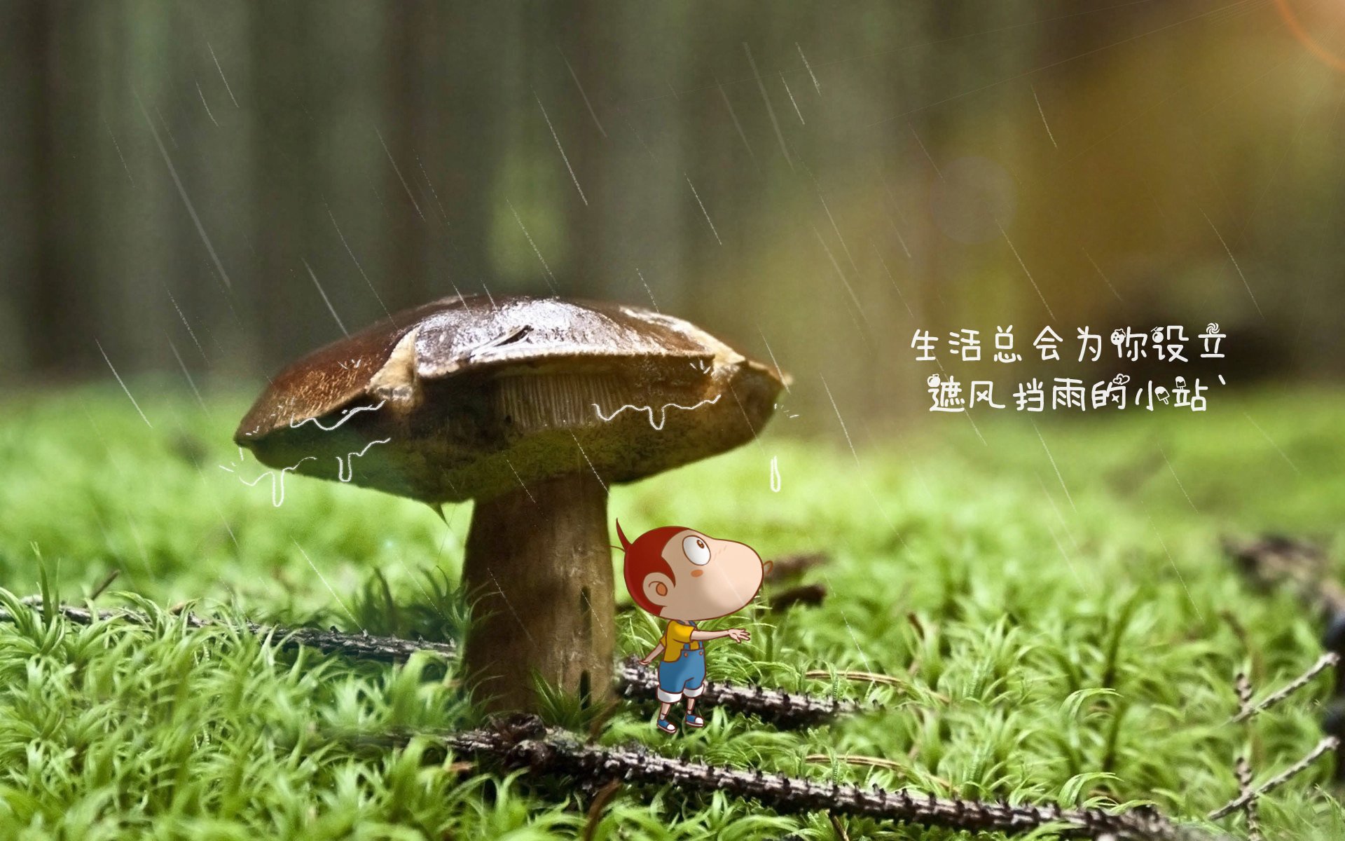 未来天王的崛起：欧冠中的春天故事，欧冠预言