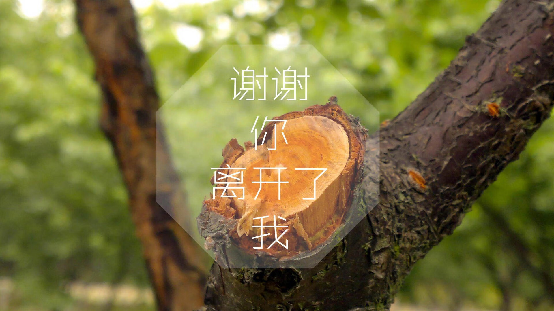 欧国联比赛：塞尔维亚队双杀匈牙利队，2020欧洲杯塞尔维亚不敌匈牙利