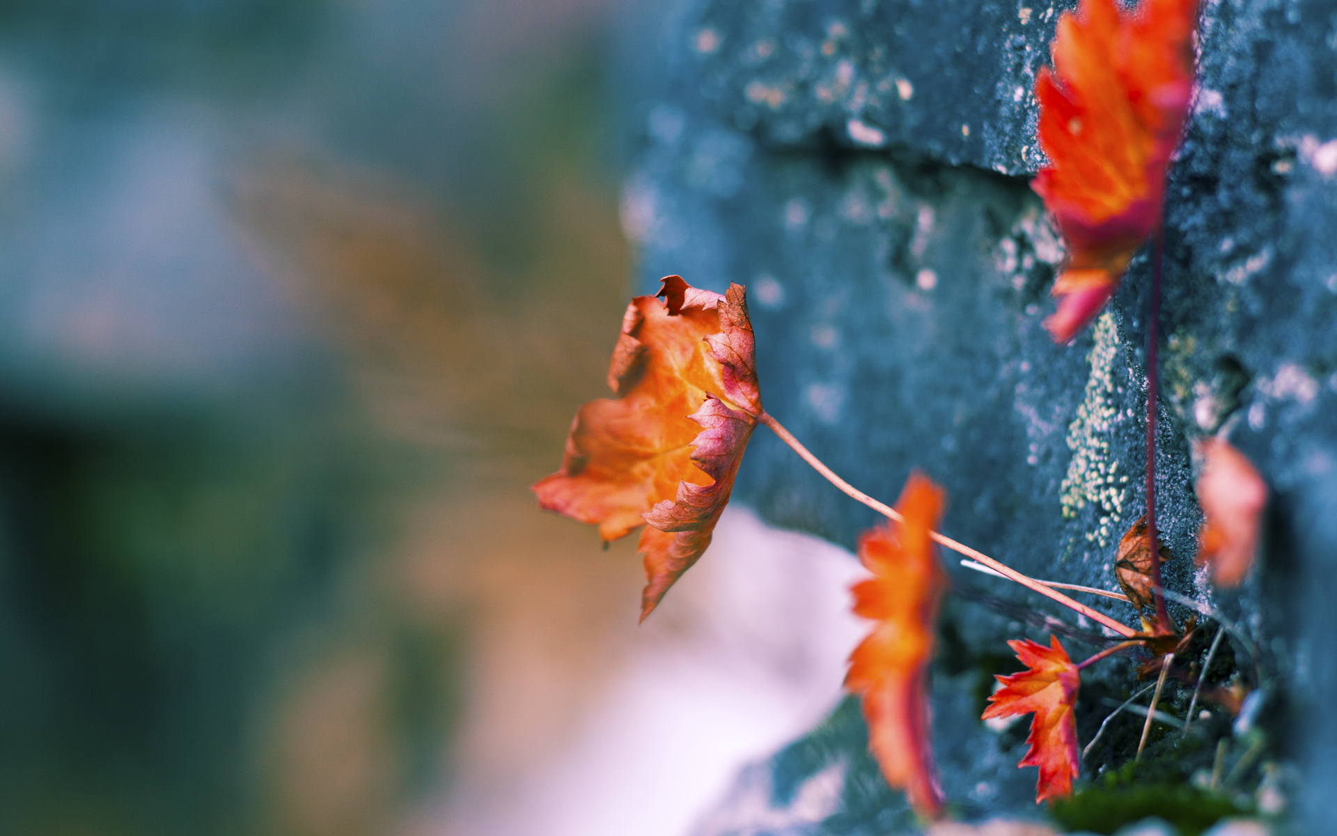 意甲球队基于心率变异性数据优化训练负荷管理，运动员心率变异性