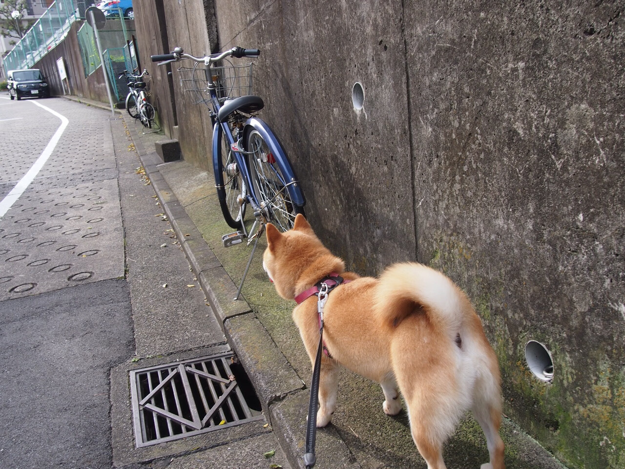 篮球专项技能创新训练方法研究，篮球专项技能创新训练方法研究报告