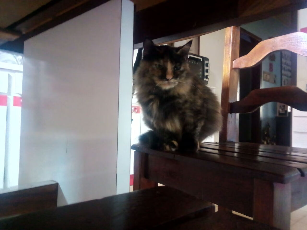 爱游戏体育APP下载-谢震业夺得亚洲百米飞人称号，谢震业百米分段数据