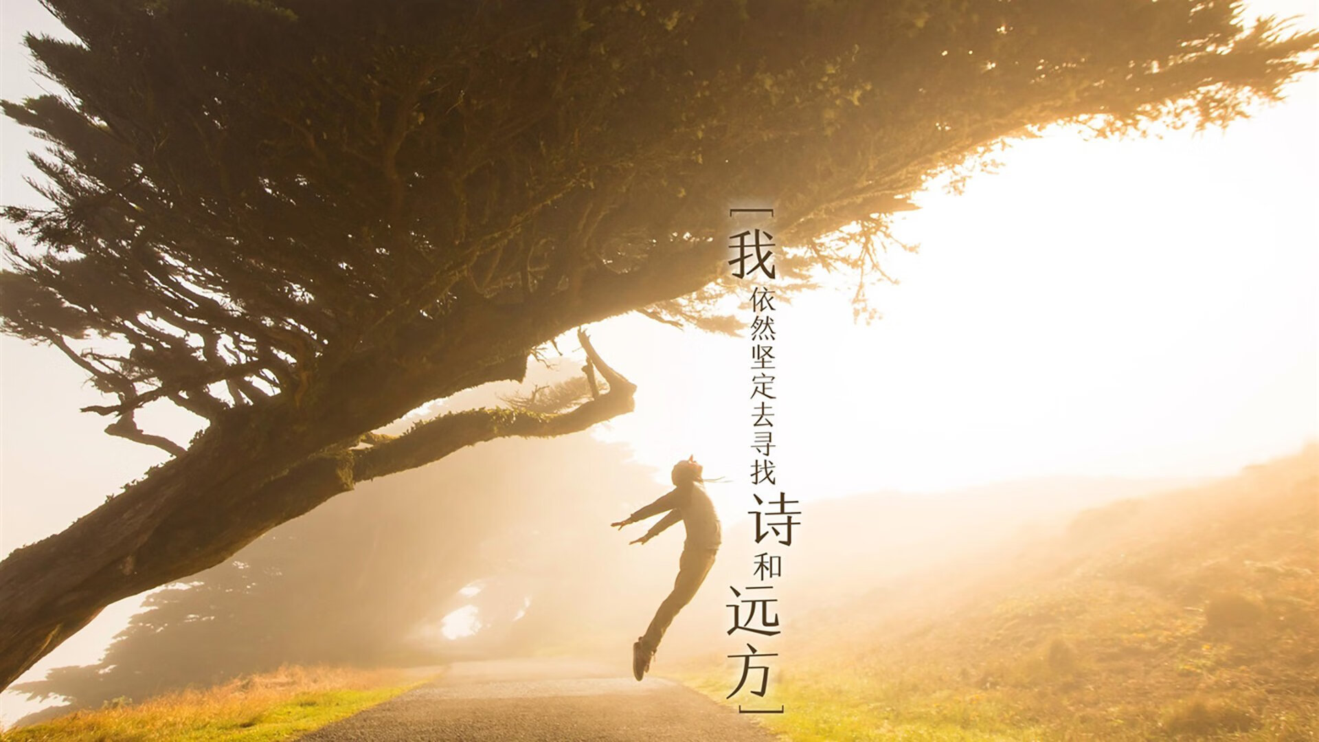 高校体育专业课程体系改革探讨，高校体育专业课程体系改革探讨论文