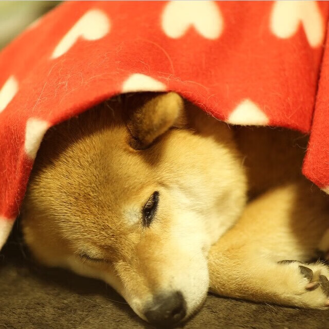 爱游戏下载-五大联赛是否更多使用边锋反跑牵制战术布局，五大联赛是否更多使用边锋反跑牵制战术布局的球队