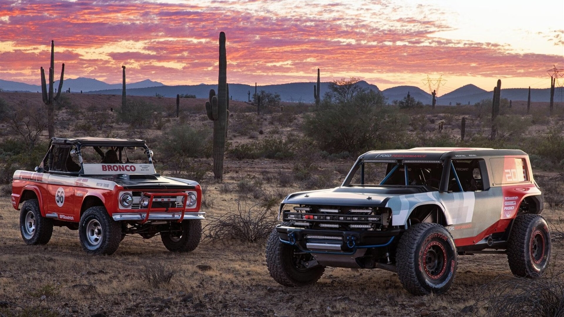 国家女篮注重场上执行纪律防守态度积极，女篮形式