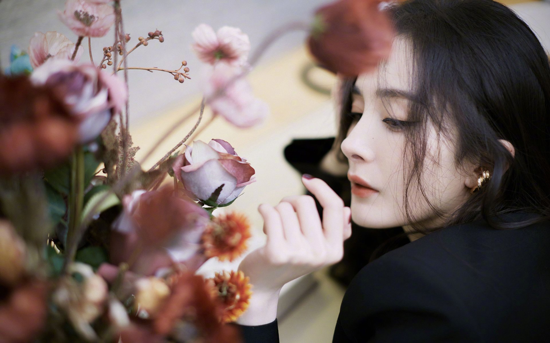 “美洲狮队打破纪录，力争橄榄球锦标赛冠军”