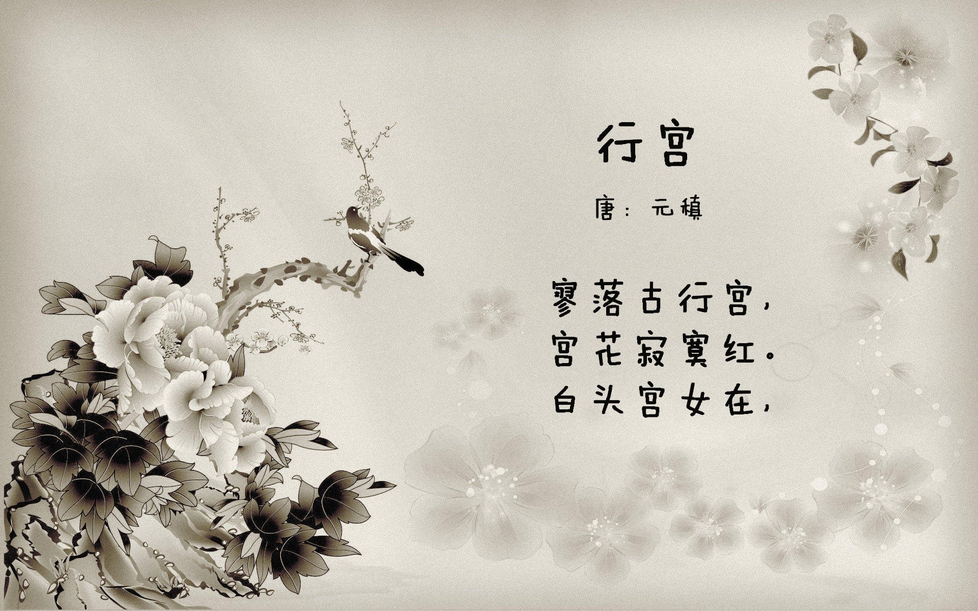 “尼古拉斯·桑特基的精准罚球与领袖气质，帮助阿根廷美洲狮队屡创佳绩”