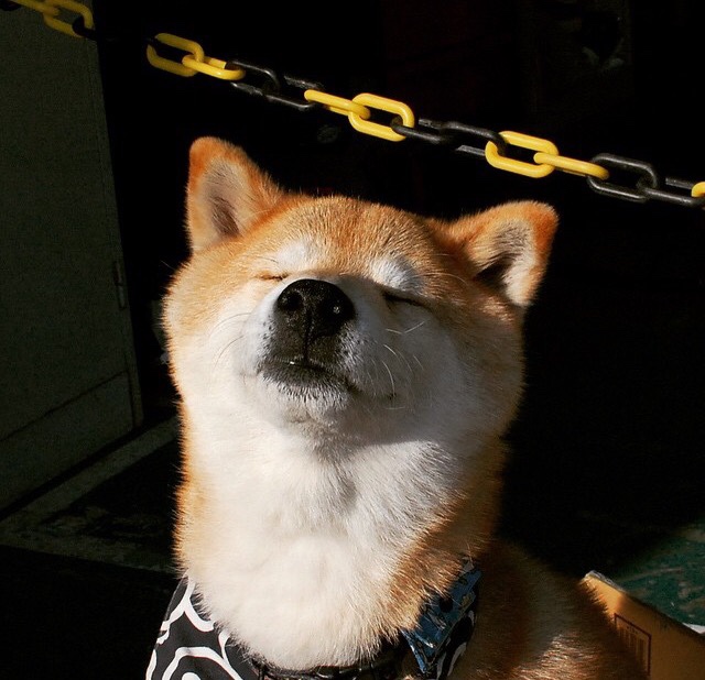 意甲铁血防守：坚如磐石的防线阻挡一切攻势，现在的意甲防守强吗