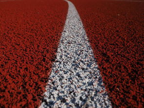 爱游戏app下载-田径项目专项训练成效显著，田径专项体能训练